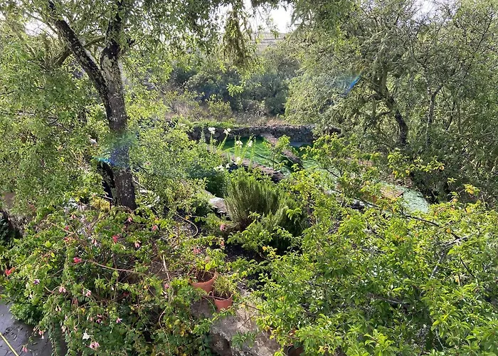 Casas Rurales Tio Antonio