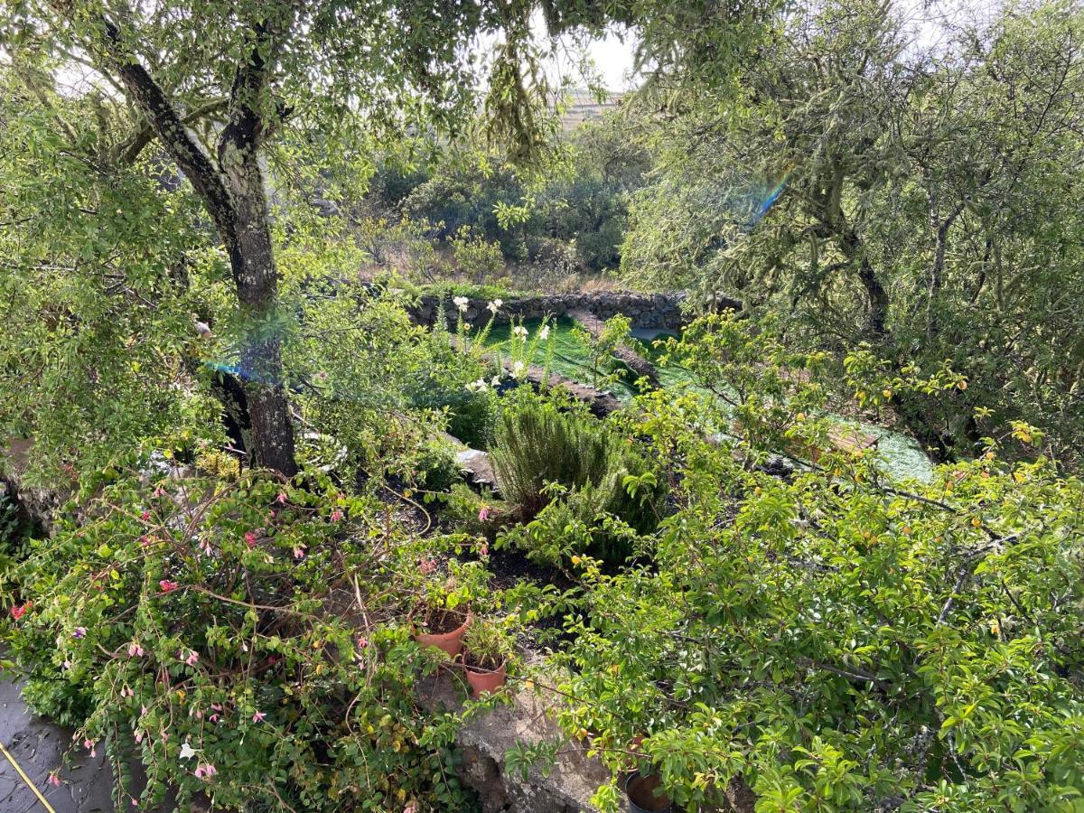 Tio Antonio Las Rosas (El Hierro)