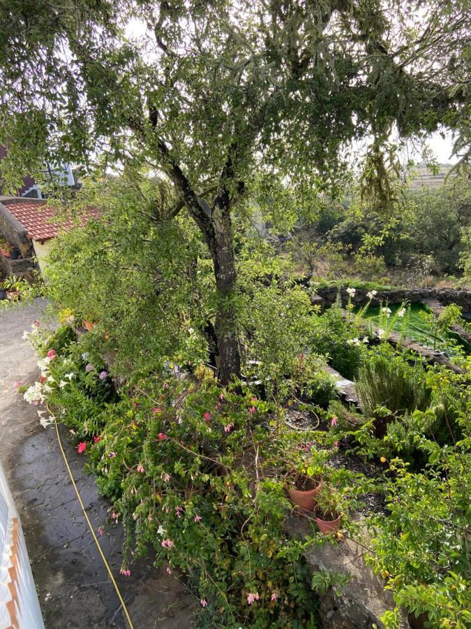 Tio Antonio Las Rosas (El Hierro)