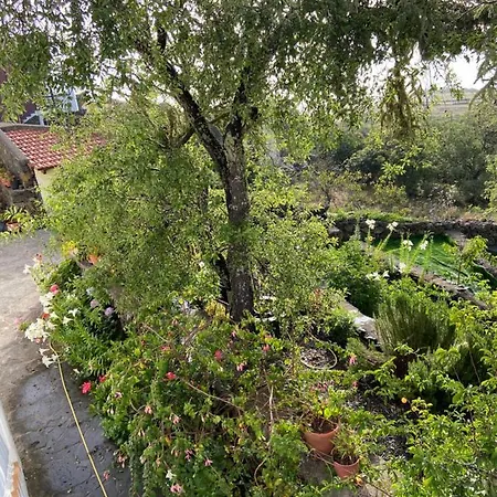 Casas Rurales Tio Antonio Las Rosas  Buitenkant foto